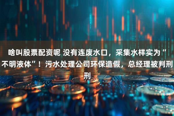 啥叫股票配资呢 没有连废水口，采集水样实为“不明液体”！污水处理公司环保造假，总经理被判刑