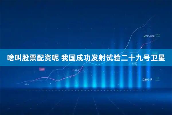 啥叫股票配资呢 我国成功发射试验二十九号卫星