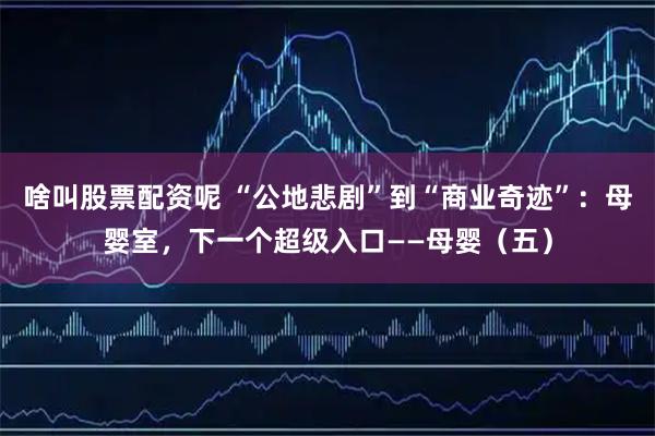啥叫股票配资呢 “公地悲剧”到“商业奇迹”:母婴室,下一个超级入口——母婴(五)